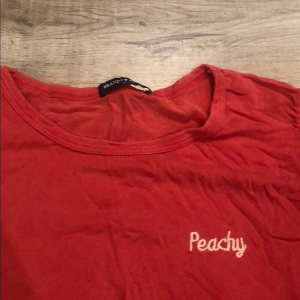 Brandy Melville peachy crop top